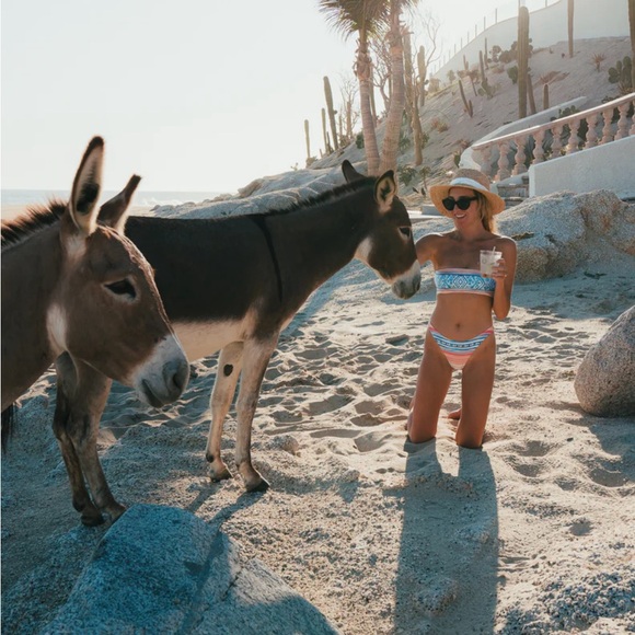 NEW! Kenny Flowers THE PALMILLA Sporty Bikini Bottom SZ Medium, XS - Picture 7 of 15